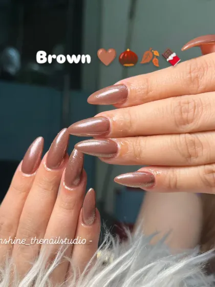 A simple yet stunning set of stiletto nails in a shimmery, metallic brown polish.