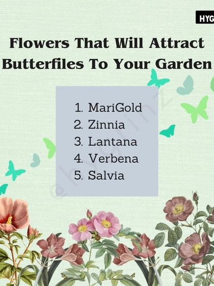 Hygrinz - Garden Design & Landscaping Your Guide to a Green Thumb photo 26