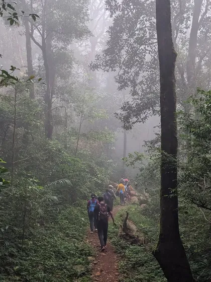 Our group trekking in a single file through the misty and mysterious Shola forests of Kumaraparvatha. This part of the trail is as beautiful as it is challenging.