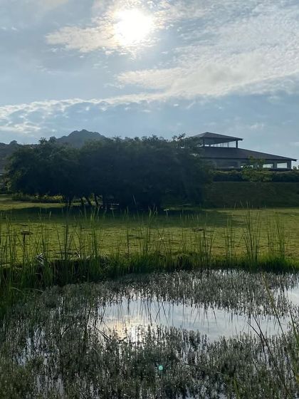 The sun breaking through the clouds over a marshy pond on our grounds. This image captures the raw, untamed beauty of the nature that surrounds us.