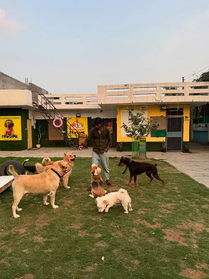 Here, dogs of all breeds and sizes learn to play and socialize together. I supervise all group enrichment activities to ensure a safe and positive experience for everyone, from the biggest dogs to the smallest.