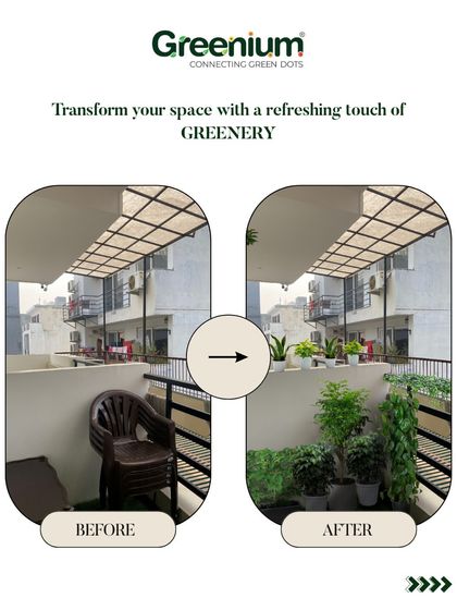 Greenium - Interior Plantscaping & Decor Outdoor Living: Balconies, Terraces & Backyards photo 7