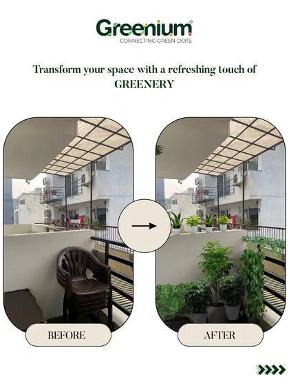A simple addition of potted plants can make a world of difference. This before-and-after shows how a few well-placed Ficus and other greens turned a bare balcony into a pleasant and inviting corner.