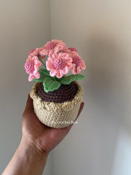 Signature Potted Flowers photo 5