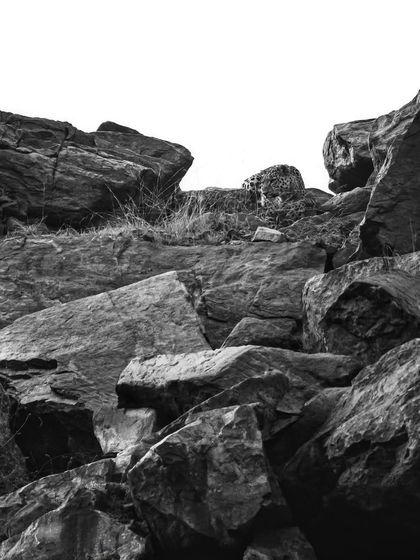 A female leopard stalks a mongoose among the rocks. We observed her for hours, witnessing the patience and skill of a predator in its natural habitat.