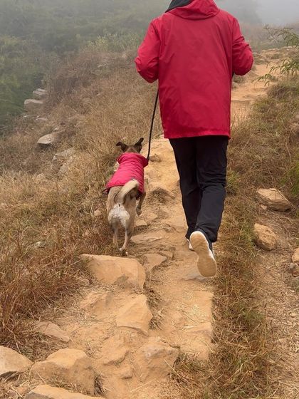 Walks are for adventures, even if it means bundling up for a chilly hike on a rocky trail.