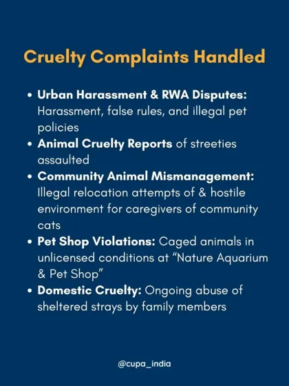 Cupa - Animal Cruelty Legal Aid & Advocacy Our Legal Fight for Animals photo 9