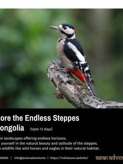 Global Wildlife Adventures photo 30