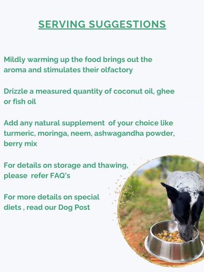 Hungry Eyes - Freshly Cooked Dog Meals Special Diets & Formulations photo 12