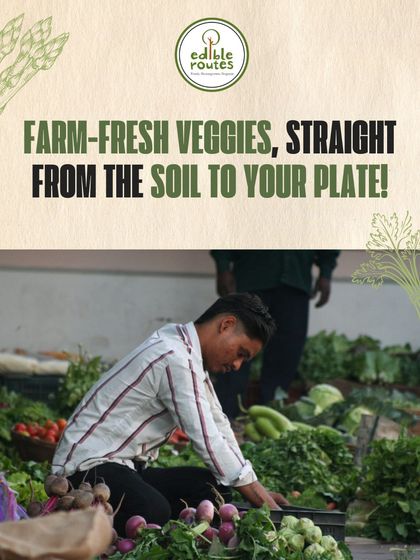 A member of my team carefully arranging fresh produce at a farmers' market. We believe in presenting our vegetables with the same care we take in growing them.