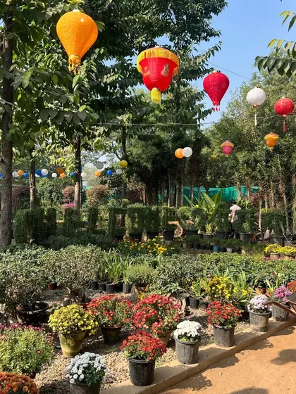 Our extensive plant nursery is the heart of our operations. Here, we cultivate a diverse selection of high-quality plants, shrubs, and flowers, ensuring we have the perfect elements to bring any landscape design to life.