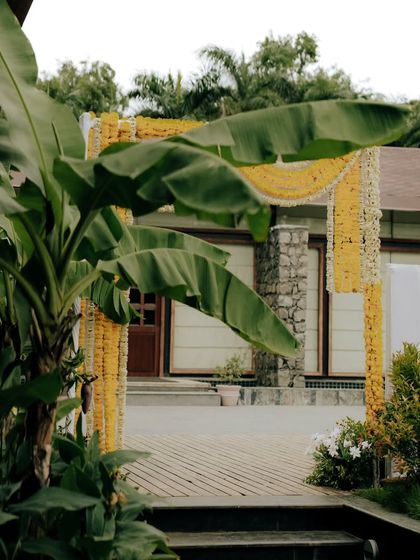 Vibrant Haldi & Mehendi Functions photo 11