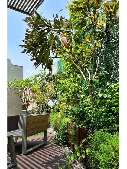 Layered planting in the 'House of Terraces' creates a dense, jungle-like feel in the heart of the city. The vertical green wall and tall plants provide privacy and a rich, biophilic experience.