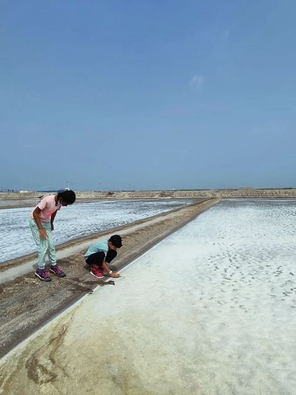 The Earth School - Nature & Community Engagement Programs Coastal & Marine Adventures photo 4