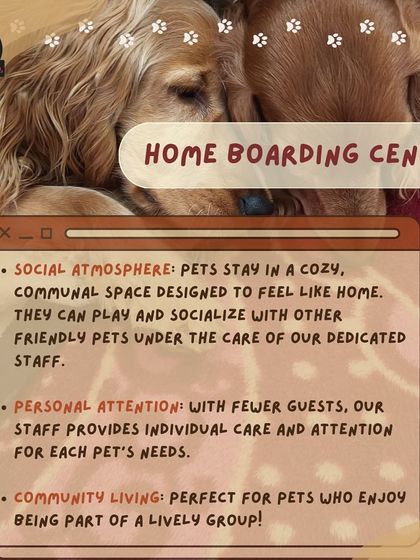 Anvis - Dog Boarding Our Boarding Centers in Bangalore photo 13