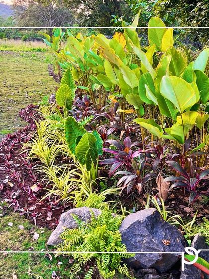 Sprawling Gardens & Farmhouse Landscapes photo 4