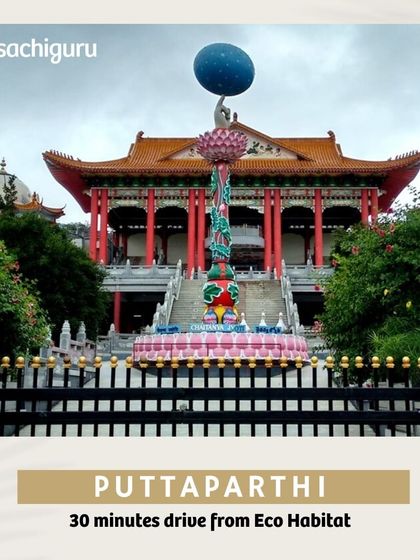 The peaceful town of Puttaparthi, home to the Sri Sathya Sai Baba Ashram, is just 30 minutes on the road from Eco Habitat, offering a quiet space for reflection.