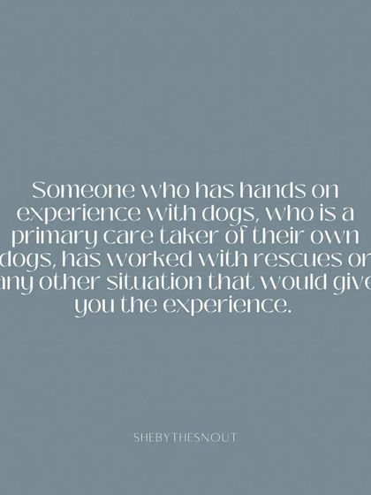 Aditi - In-Home Pet Sitting Join the Team photo 3