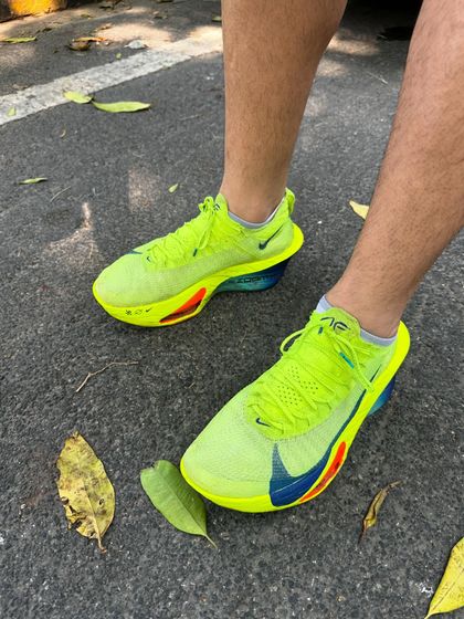 Additional Work & Training Insights photo 4