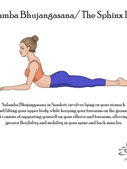 Anagha Yoga - Therapeutic Yoga Yoga Foundations: Asana Library photo 63