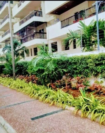 This is a look at our landscaping work for Aakriti Constructions in Hyderabad. We created layered garden beds with a mix of hedges, palms, and flowering plants to beautify the walkways around the apartment complex.