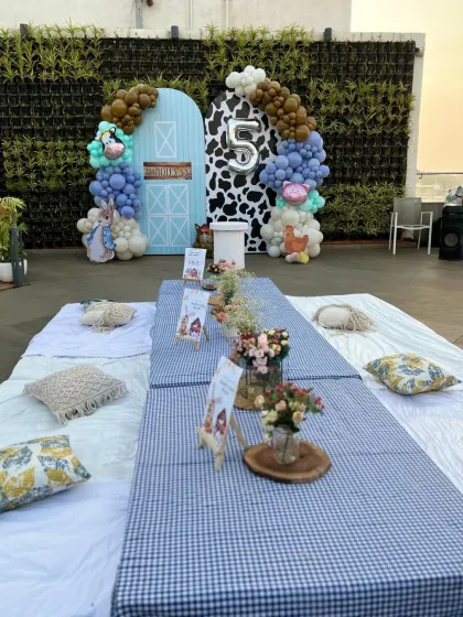 A charming farm-themed party with a rustic picnic setup. The low table is covered with a gingham tablecloth, surrounded by comfy cushions for a relaxed celebration.