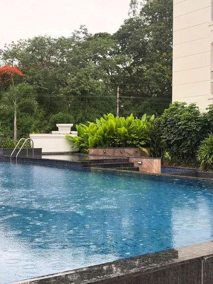 A swimming pool on a rainy day, bordered by our lush landscaping. The greenery, including large-leafed plants, creates a tropical resort feel, turning the pool area into a private oasis.