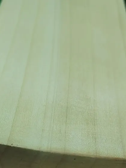 Another look at the clean face of an English willow bat available at our outlet. We offer quality bats at fair prices, starting from just 5000.