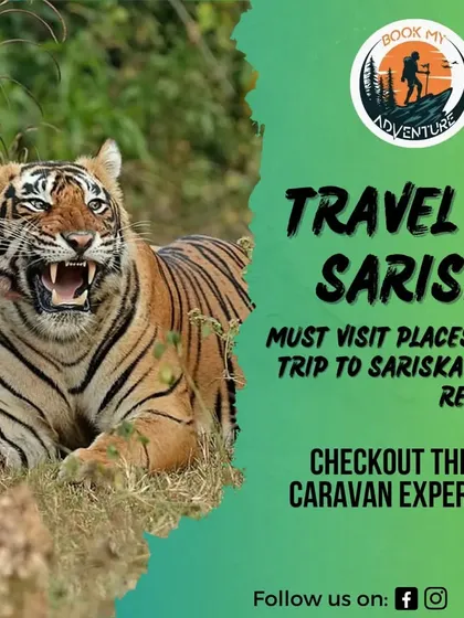 This promotional graphic highlights our caravan trip to the Sariska Tiger Reserve, one of the best places for tiger sightings in Rajasthan.