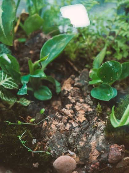 Creative Vessels: Teapots, Jars & More photo 62