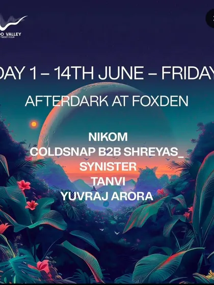 The lineup for the Afterdark stage at Voodoo Valley. I was thrilled to be closing out the night with such a talented group of artists.