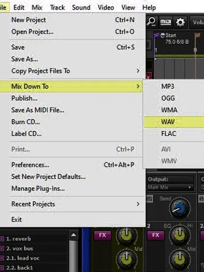 Here is a peek at the final stage of creating your song. I handle all the mixing and production myself to make sure the final audio track is polished and sounds just right. You receive a professional quality WAV file ready to be shared.