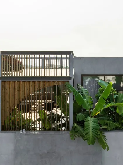 A view of a rooftop where lush banana plants and wooden screens create layers of privacy and texture. The design turns the terrace into a tropical retreat, high above the city.