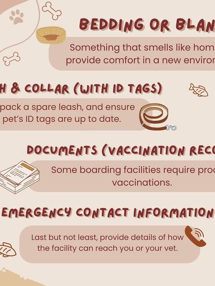 Anvis - Dog Boarding Helpful Tips for Pet Parents photo 8