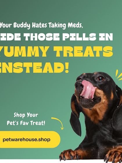 Pet Warehouse - Pet Supplies Food & Treats For Every Pet photo 4