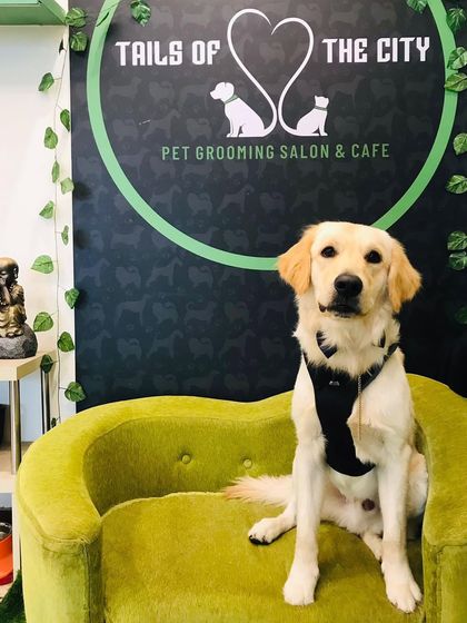 Tails of the City - Pet Spa & Creative Styling Our Happy Pack: Client Gallery photo 6