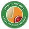 Just Cricket Academy
