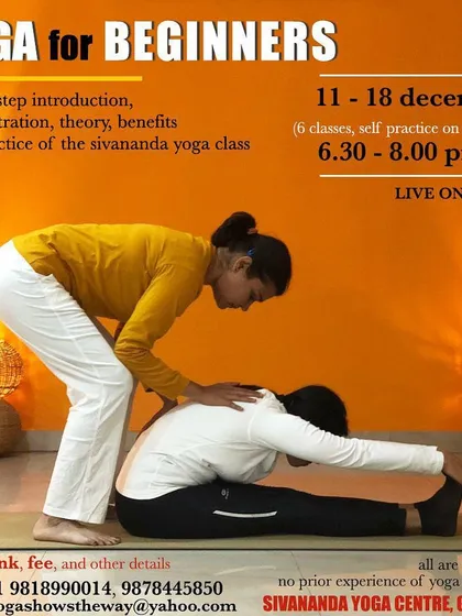 If you are new to yoga, our Beginner's Course is the perfect place to start. This poster outlines our structured program where we introduce the five fundamental points of yoga in a clear, step by step manner.