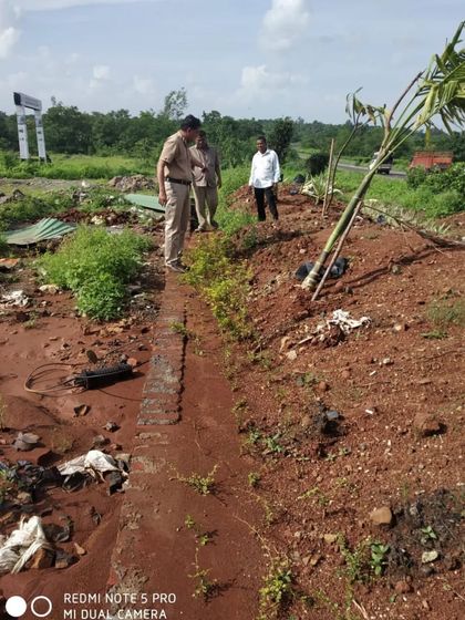Reviewing the progress of a roadside planting, ensuring the new plants are correctly placed and cared for.