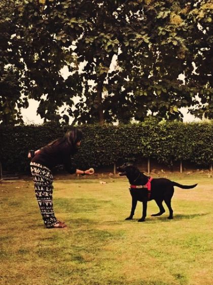 A team member playing with Dilawar the black Labrador. We are committed to providing a fun and loving environment.