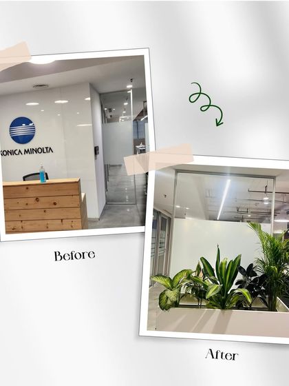 Paudha - Commercial Biophilic & Interior Design Office & Workspace Transformations photo 10