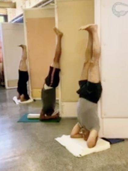 A group of students practicing different stages of headstand against the wall. The wall is an invaluable teacher in yoga, providing support and feedback that allows each student to work at their own capacity safely.