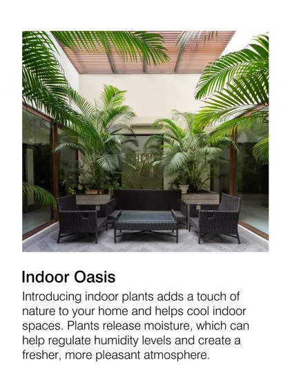 An indoor oasis of plants adds a touch of nature and helps cool interior spaces. Plants release moisture, which can help regulate humidity and create a fresher, more pleasant atmosphere.