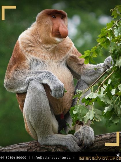 Global Wildlife Adventures photo 7