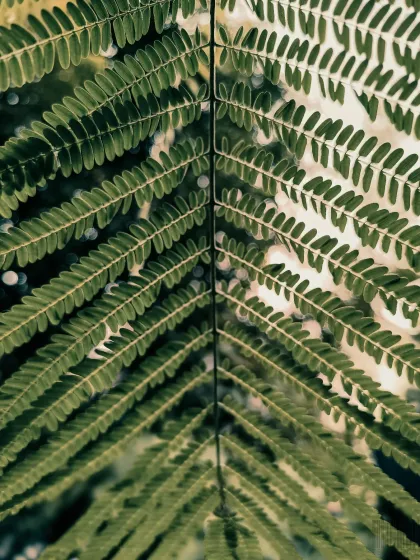 Zahid Moledina - Photography The World Up Close: Nature & Macro photo 41