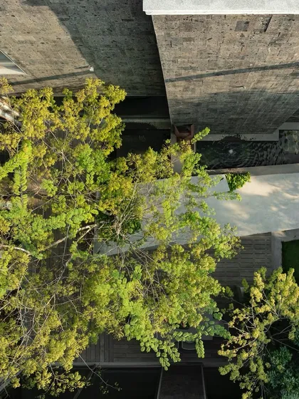 An aerial view of a courtyard where architecture and nature are deeply intertwined. The image shows how trees are planted within the built footprint, with pathways and water features weaving through the space.
