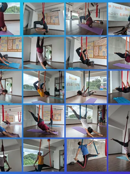More moments from our vibrant aerial and acro yoga classes, showcasing the variety of poses, the supportive environment, and the pure fun of flying. From beginner drops to advanced flows and teacher trainings, there's a place for everyone to explore.