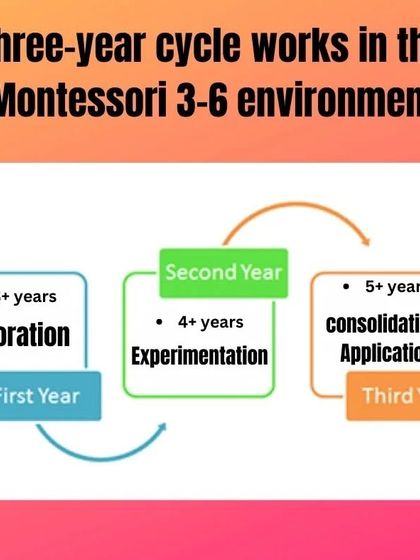 Understanding the three-year cycle is fundamental to the Montessori 3-6 environment. Our course explains how children progress from exploration to experimentation and finally to consolidation, and how the mixed-age classroom supports this natural development.