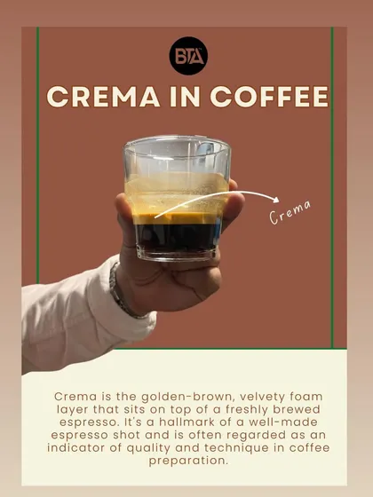 An infographic explaining what crema is: the golden-brown, velvety foam layer on a freshly brewed espresso, an indicator of quality.