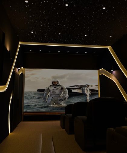 Luxury & Themed Theaters photo 12